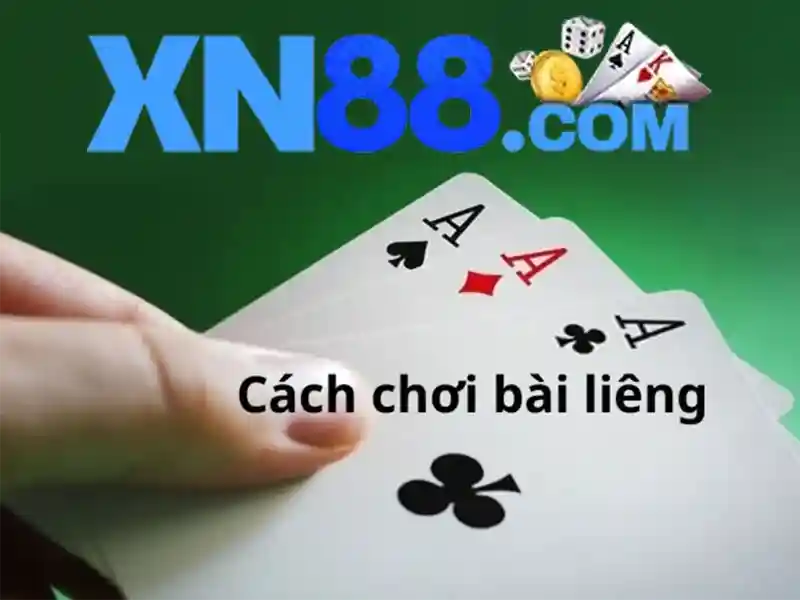 Hướng dẫn tham gia và lưu ý pháp lý Hướng dẫn tham gia và lưu ý pháp lý