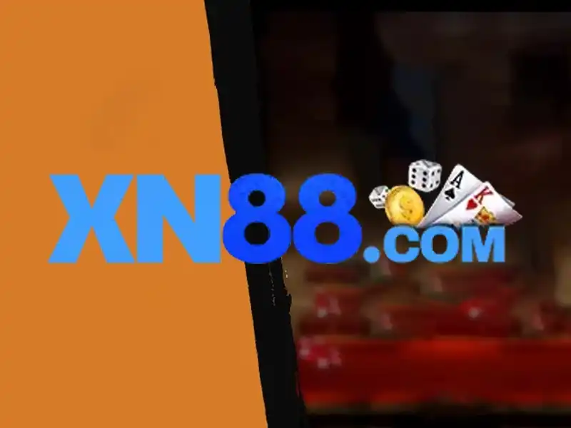 Trải nghiệm người dùng và phản hồi cộng đồng