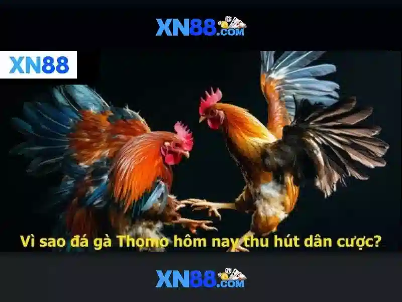 xn88 uy tín không: Đánh giá xn88 mobi và xn88 nổ hủ