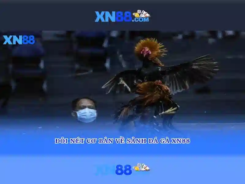 Nguồn gốc và sứ mệnh của https t lý xn88 app Nguồn gốc và sứ mệnh của https t lý xn88 app