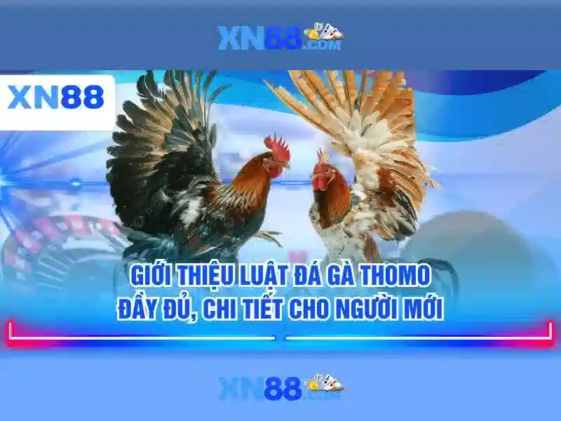 Tính năng nổi bật của xn88