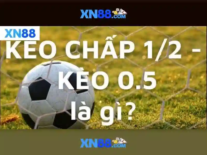 Xn88: Tổng quan và hướng dẫn