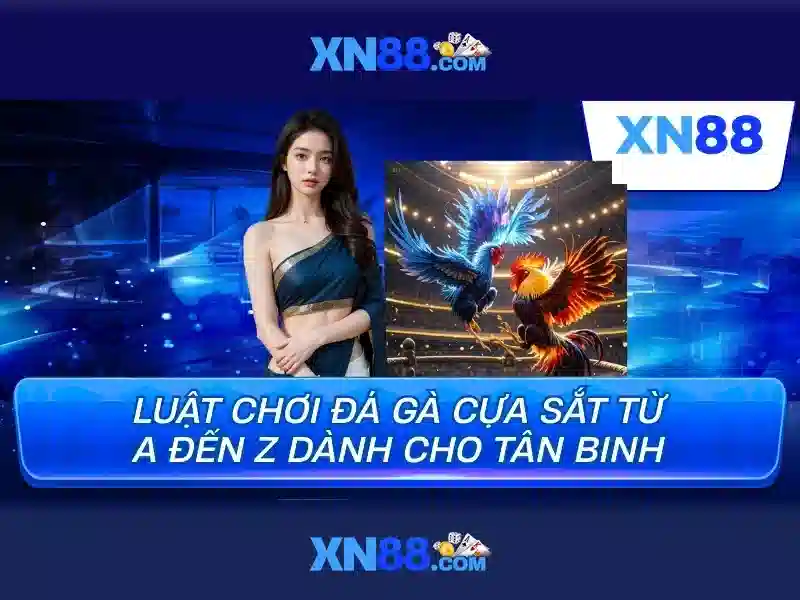 xn88 - một cái nhìn tổng quan