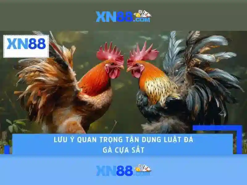 Mẹo chơi bắn cá 3 cây dễ ăn tiền nhà cái