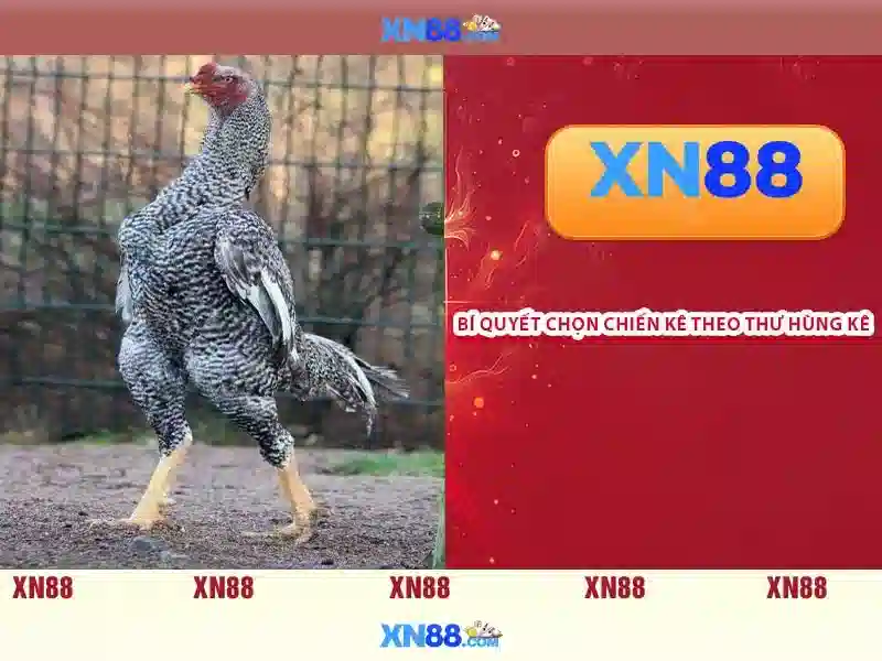 Các tính năng nổi bật của xn88\n