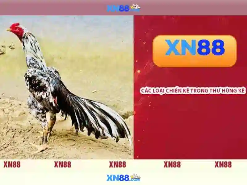 Tính năng nổi bật Tính năng nổi bật