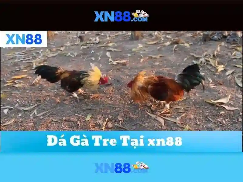 Mẹo chơi bắn cá 3 cây dễ ăn tiền nhà cái
