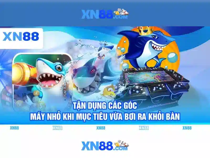Các tính năng nổi bật