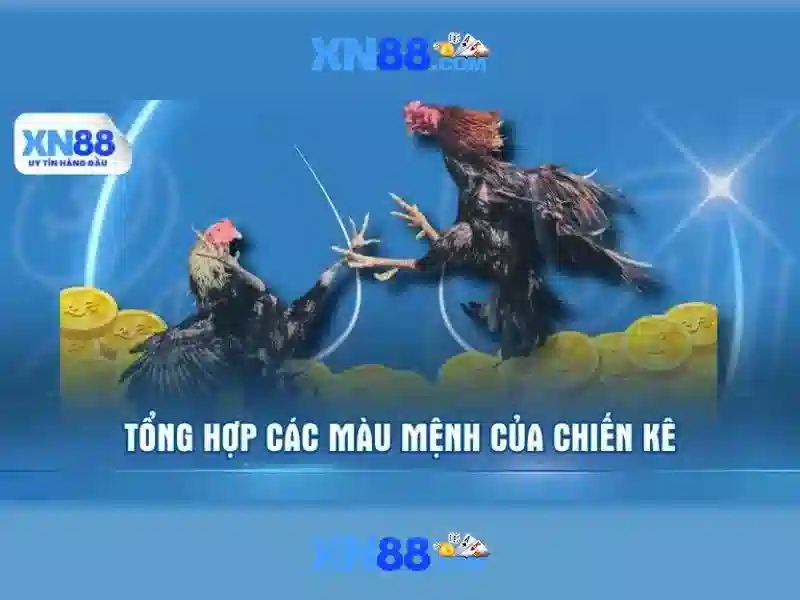 xn88 bet live — khám phá thương hiệu và trải nghiệm toàn diện
