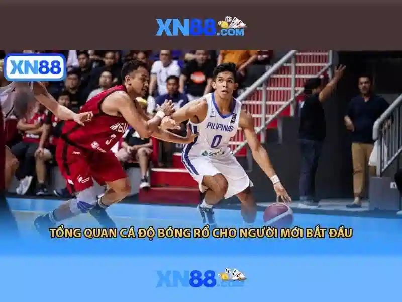 Trải nghiệm người dùng và phản hồi cộng đồng