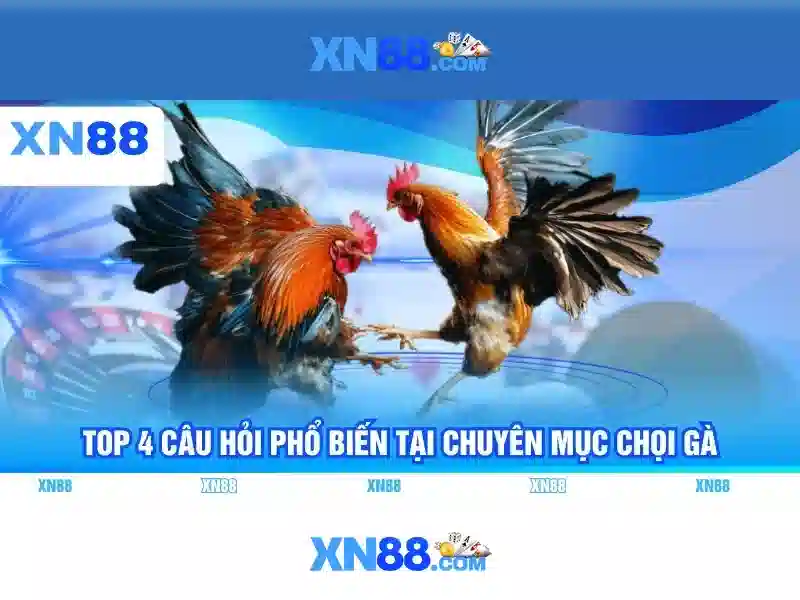 xn88 chính thức – Tổng quan và giá trị cốt lõi