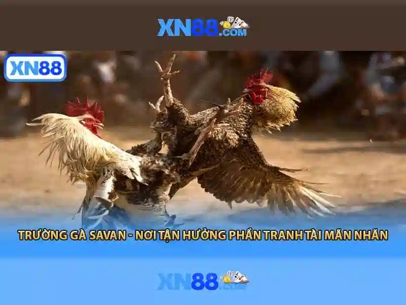 xn88: Nền tảng trò chơi trực tuyến và các tùy chọn