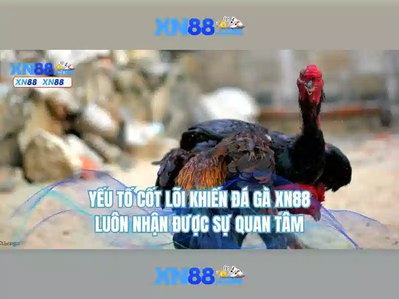 xn88 – tổng quan và trải nghiệm người dùng
