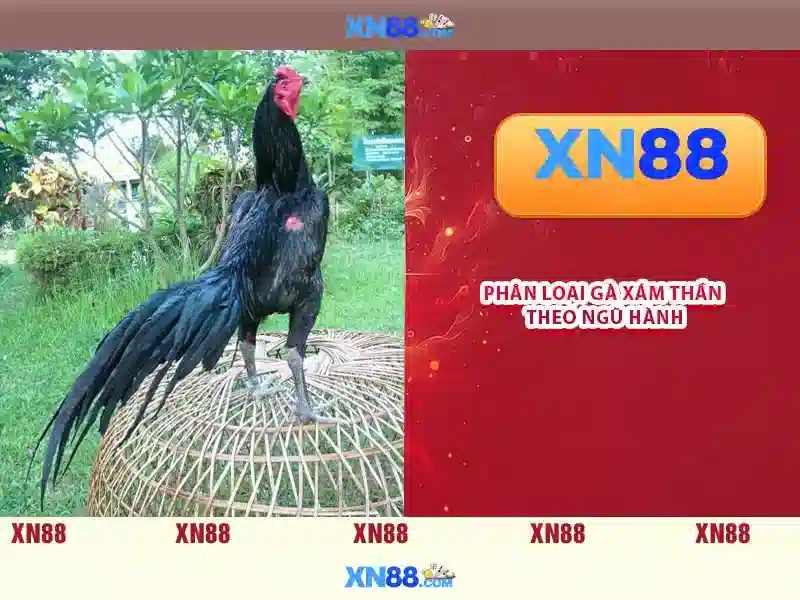 xn88 là gì và các tính năng nổi bật