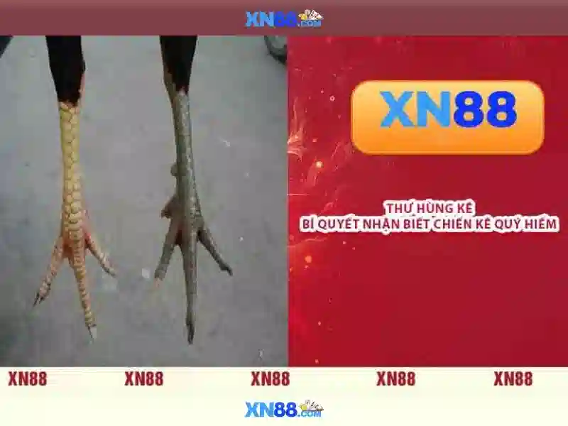 Mẹo chơi bắn cá 3 cây dễ ăn tiền nhà cái