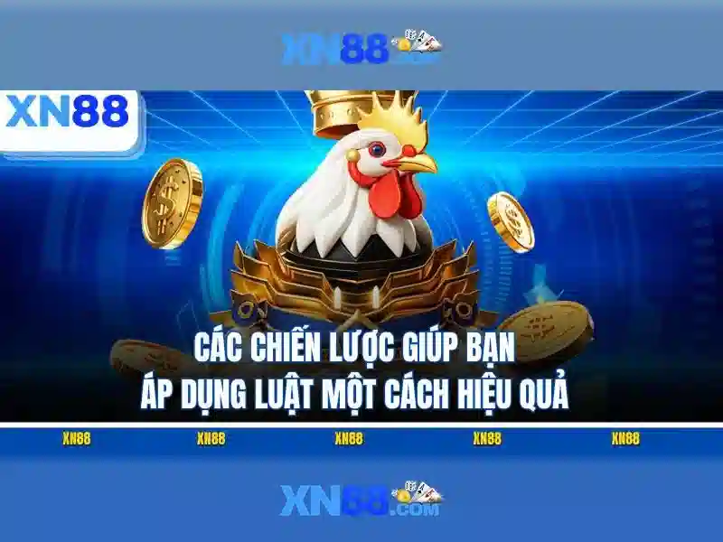Giới thiệu về xn88