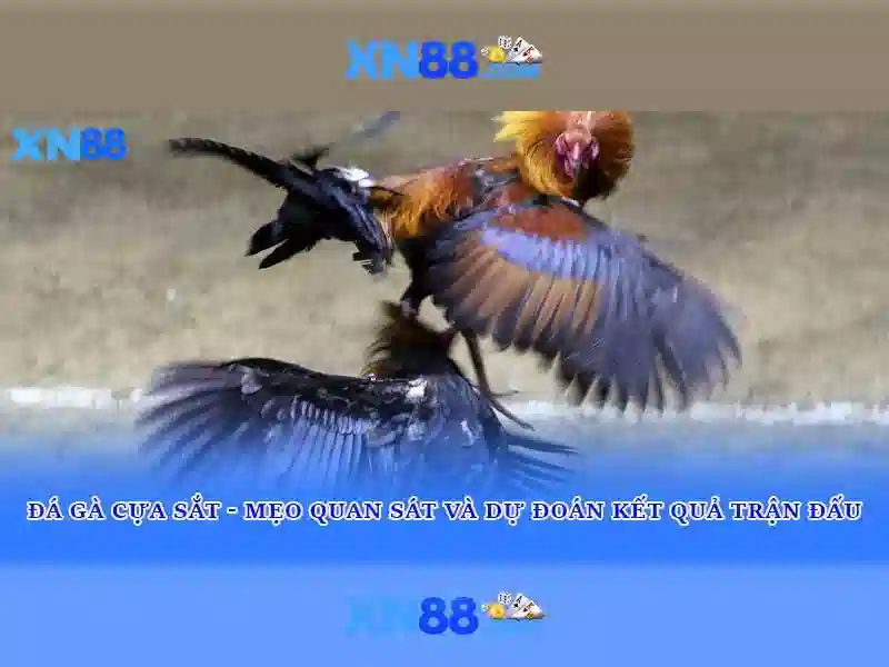 Thanh toán và khuyến mãi tại xn88\n