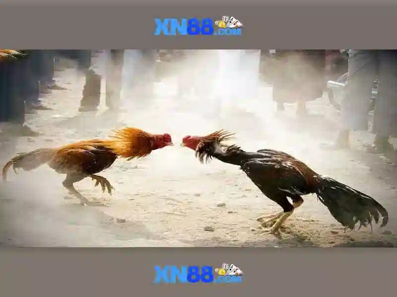 Mẹo chơi bắn cá 3 cây dễ ăn tiền nhà cái