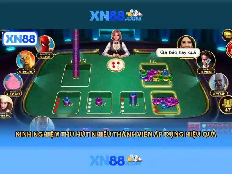 Nền tảng và giấy phép