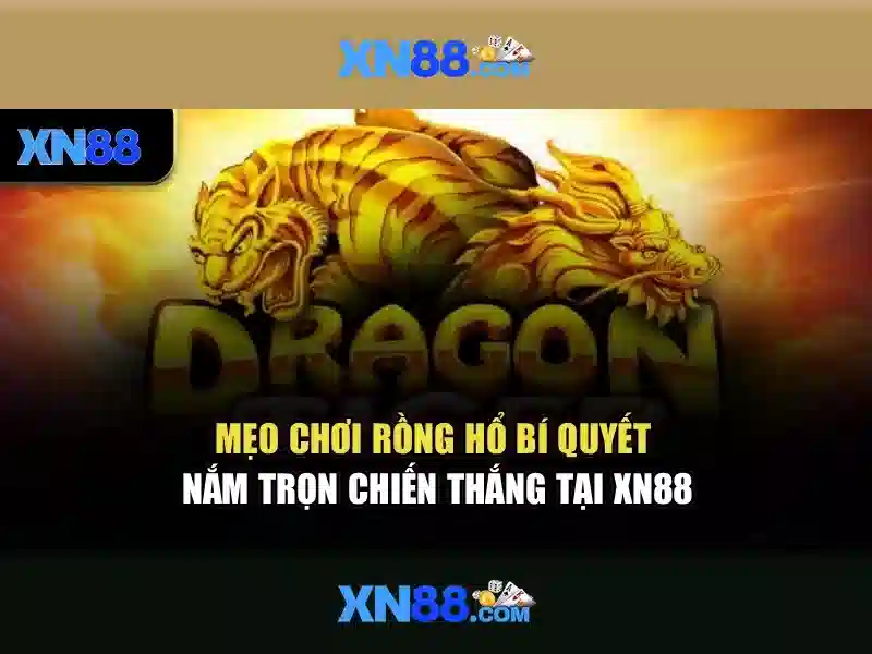 xn88 chính thức – hành trình trải nghiệm và uy tín