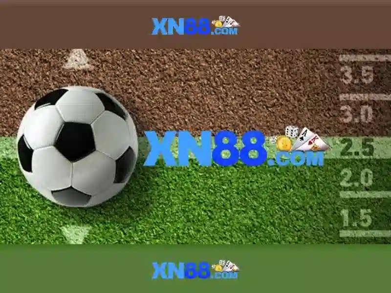 Trải nghiệm người dùng và Phản hồi của cộng đồng