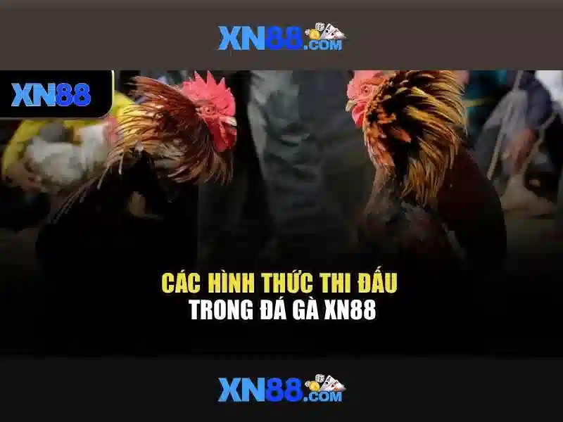 xn88 là gì và cách trải nghiệm an toàn