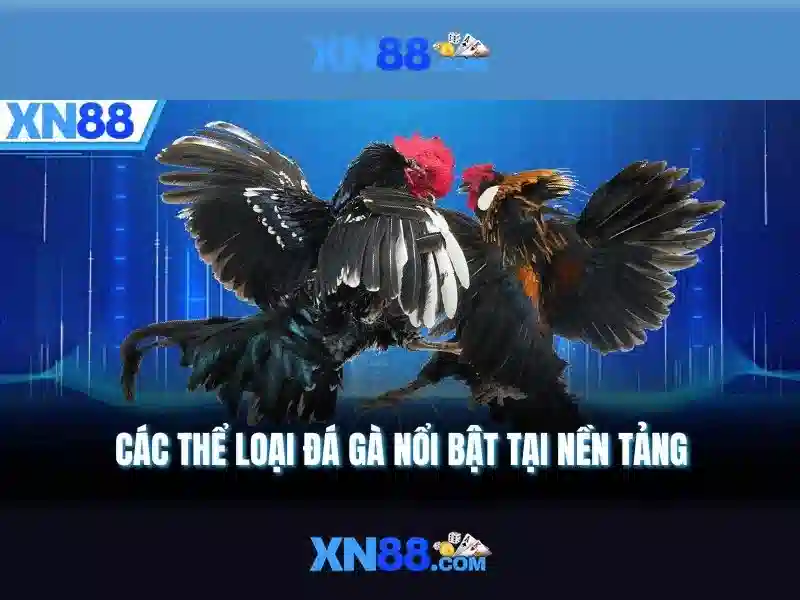 Khuyến mãi và chương trình thưởng