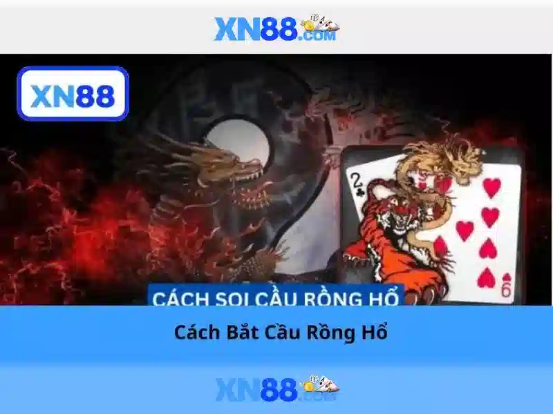 Kinh nghiệm tham gia và lưu ý