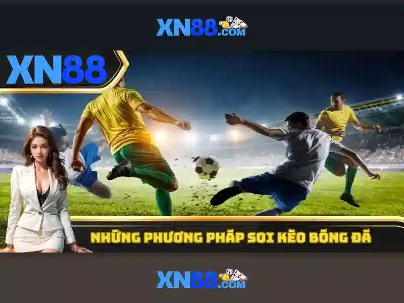 Cách tham gia và trải nghiệm\n\n Cách tham gia và trải nghiệm\n\n
