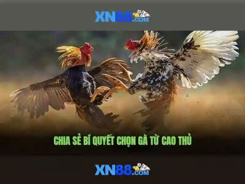 Mẹo chơi bắn cá 3 cây dễ ăn tiền nhà cái