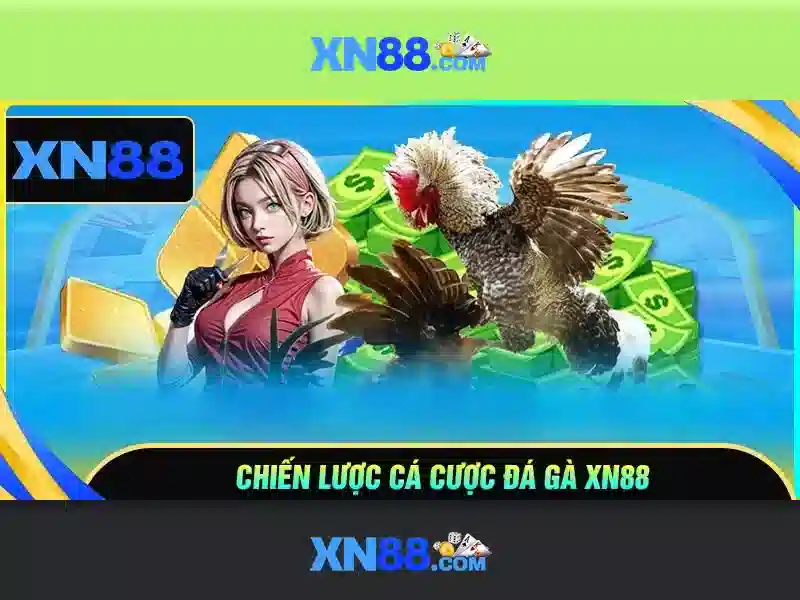 Giới thiệu về xn88