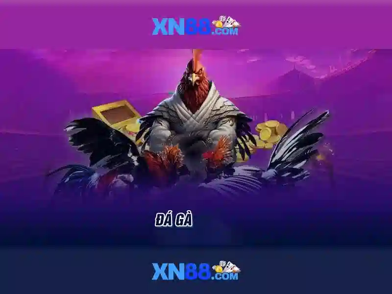 xn88: Nền tảng chơi game và cược trực tuyến