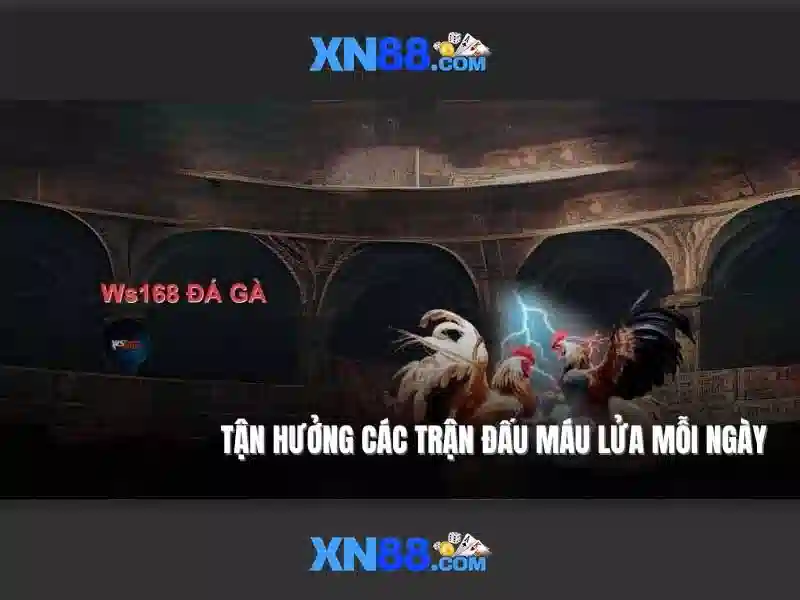 XN88: Nền tảng giải trí trực tuyến và tiềm năng của nó