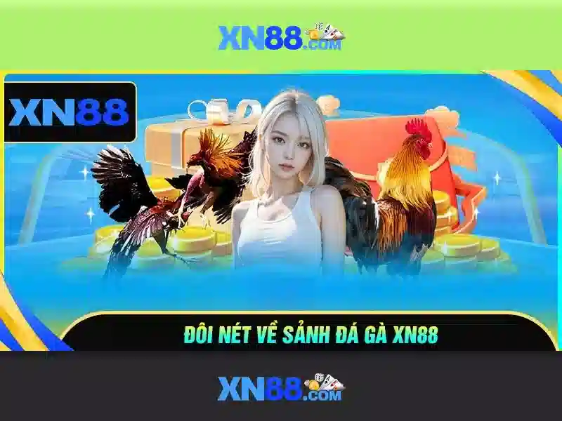 Kết luận và lời khuyên Kết luận và lời khuyên
