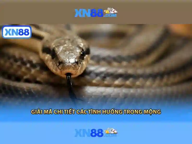 Khuyến mãi và cách tham gia\n