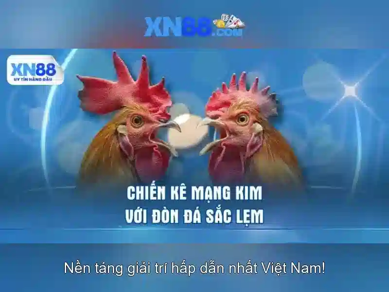Danh mục trò chơi và trải nghiệm người dùng\n