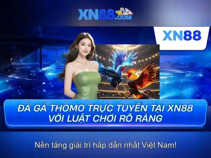 Giới thiệu về xn88