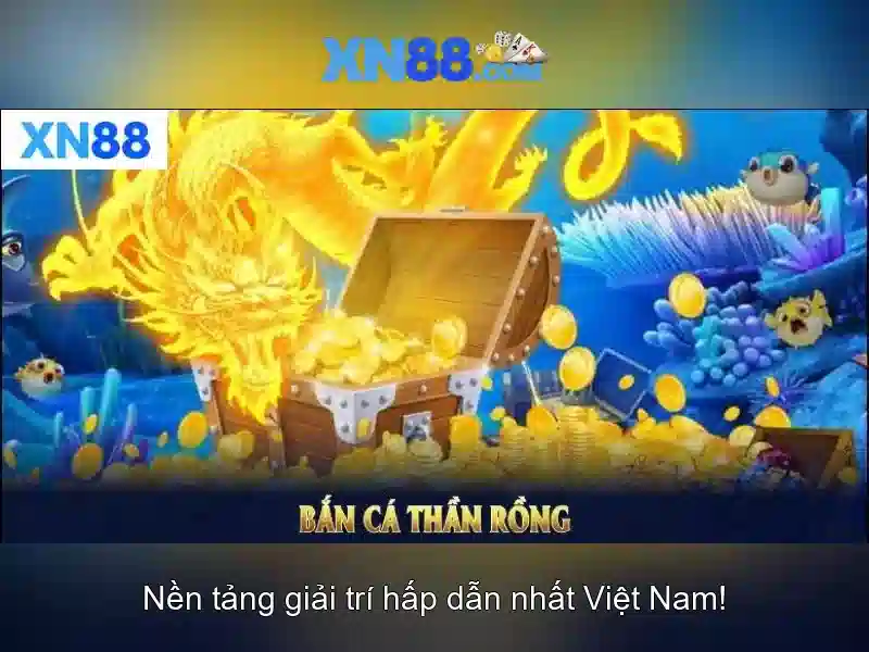 Cộng đồng và triển khai