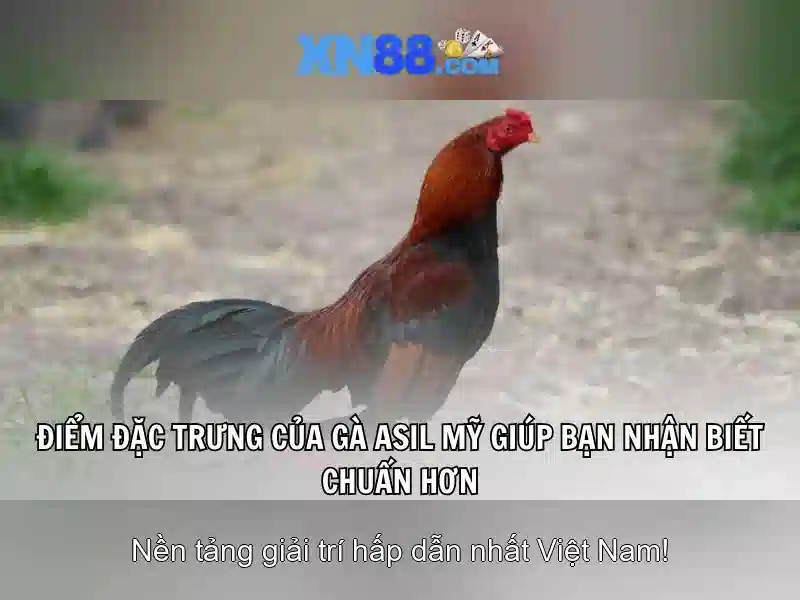 An toàn và bảo mật
