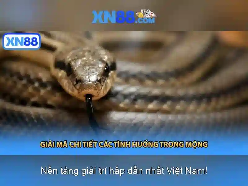 xn88: Tổng quan và Hướng dẫn