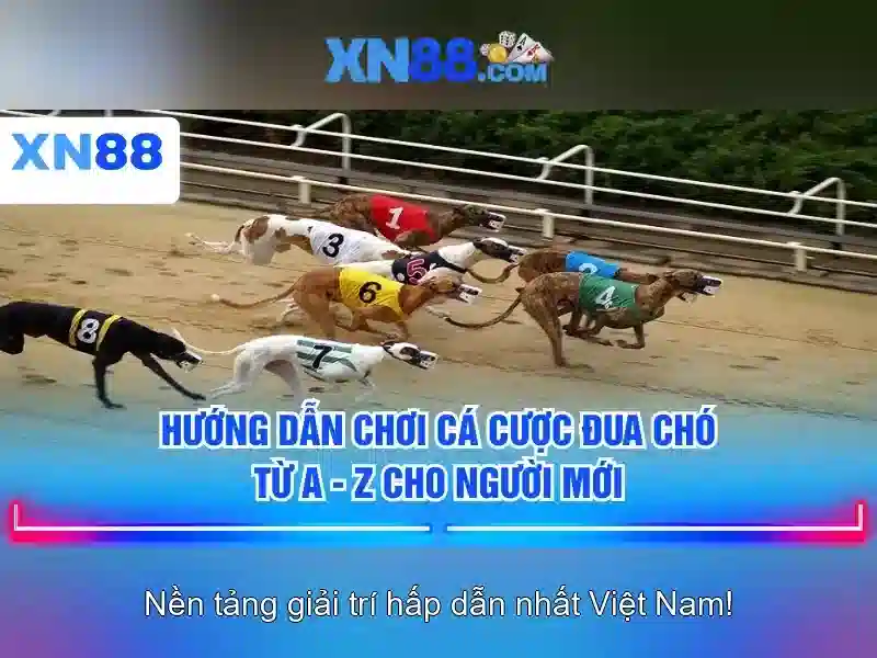 Các sản phẩm và dịch vụ chính của XN88
