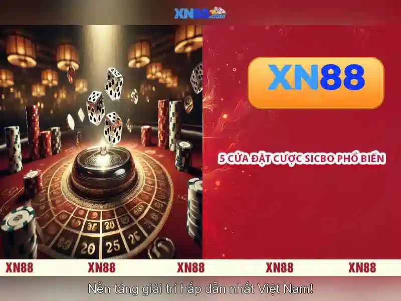Lịch sử và nguồn gốc