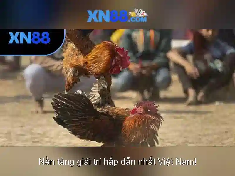 Mẹo chơi bắn cá 3 cây dễ ăn tiền nhà cái