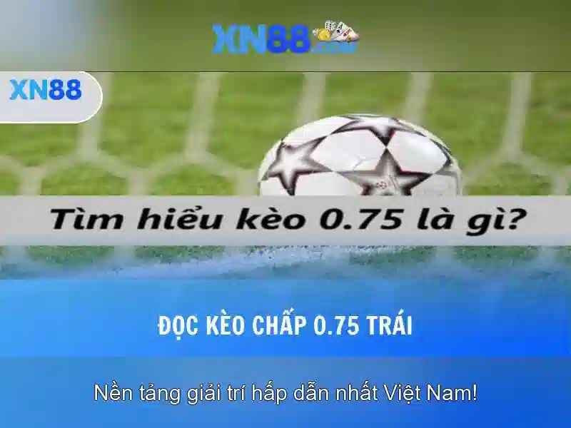 Tương lai của XN88 và hướng phát triển Tương lai của XN88 và hướng phát triển