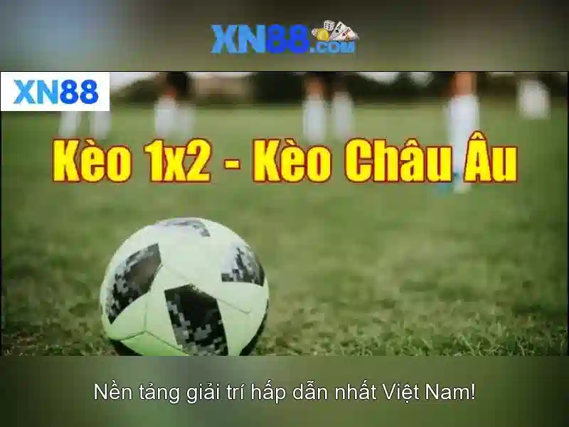 Hướng dẫn tham gia và an toàn