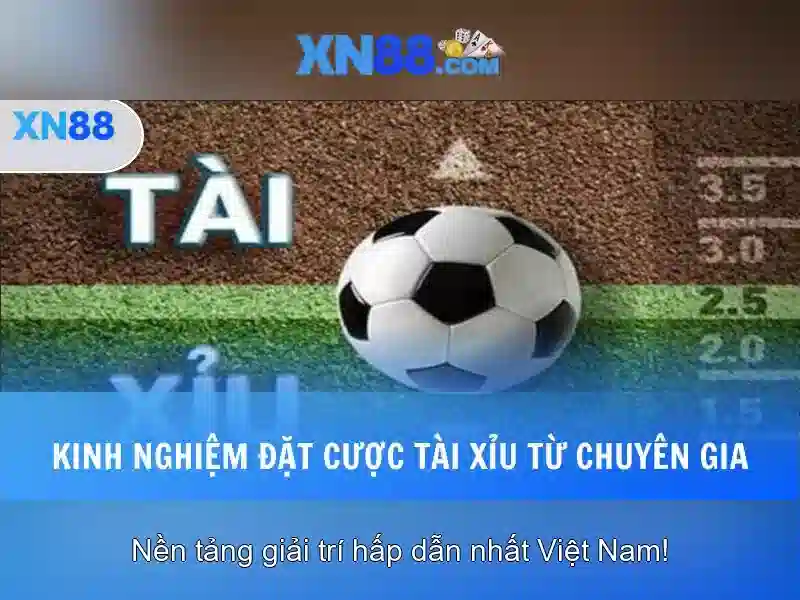 Lịch sử và phát triển