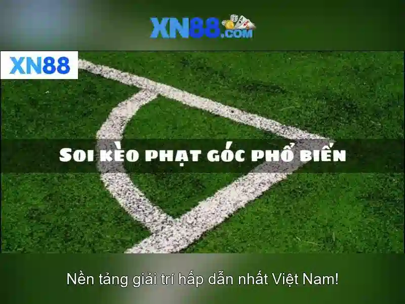 Các tính năng nổi bật
