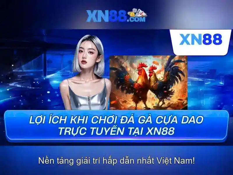 Các dịch vụ chính của xn88\n\n