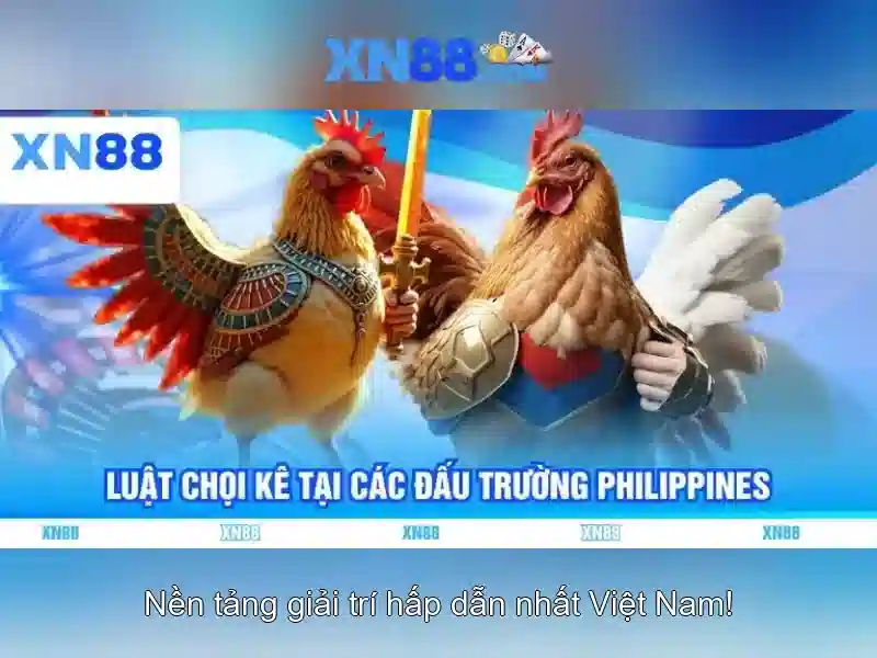 Tổng quan về xn88: nền tảng trò chơi trực tuyến