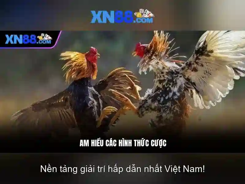 Trải nghiệm người dùng trên xn88